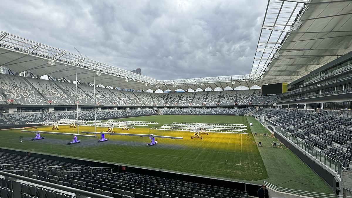 Commbank stadium playing field